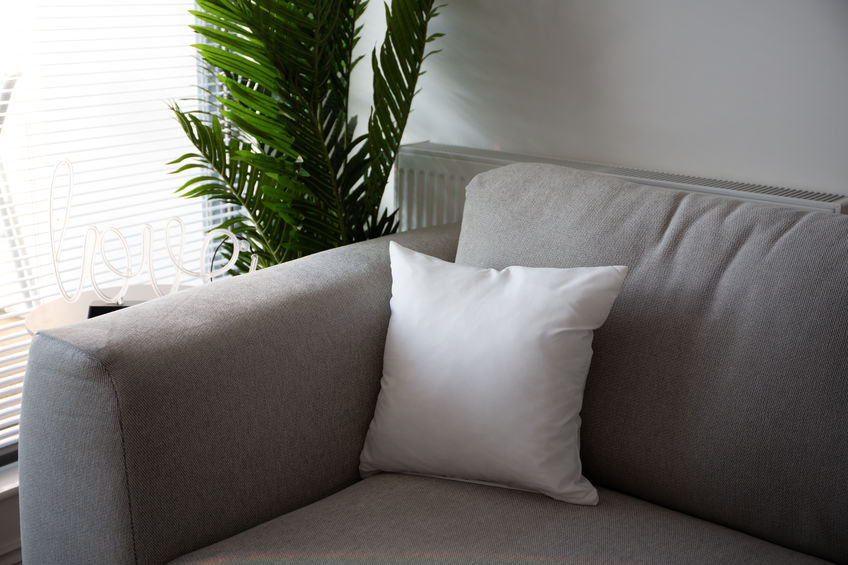 A gray sofa with a white pillow is placed near a window with blinds. A green plant is in the background.