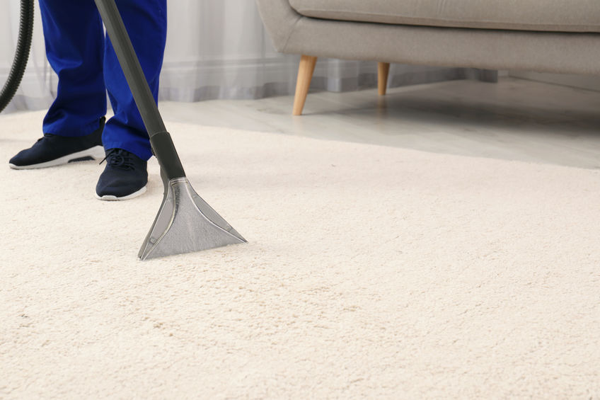 Person in blue pants and black shoes cleaning a beige carpet with a professional vacuum cleaner in a living room setting.